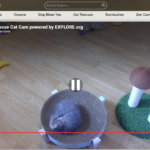 Explore.org Live Animal Cams